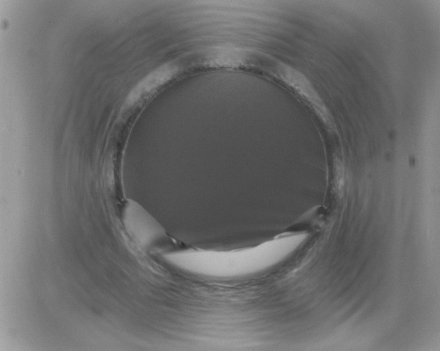 X0000081360681200701251949
