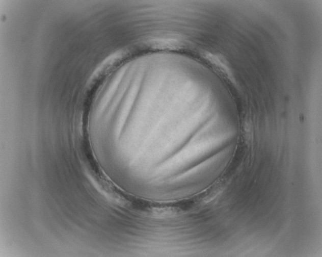X0000081360686200701251949