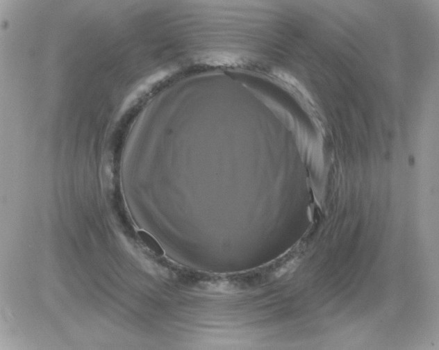 X0000081360688200701251949
