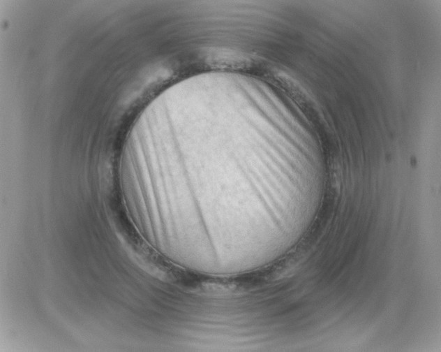 X0000081360690200701251949