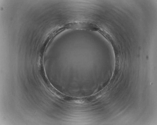 X0000081360692200701251949