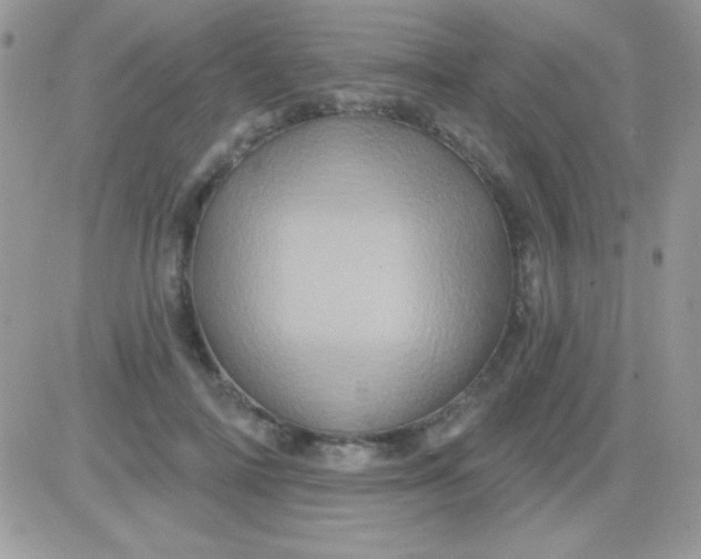 X0000081360698200701251949