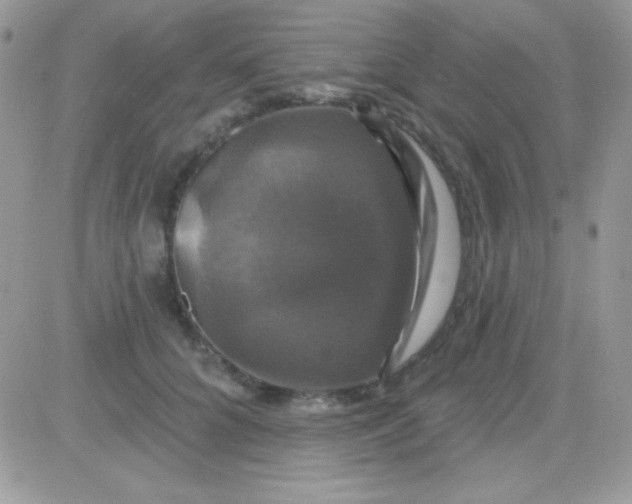 X0000081360704200701251949