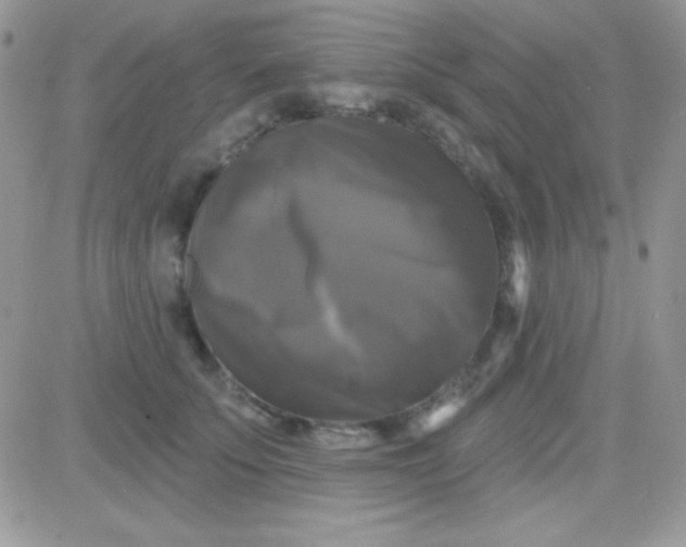 X0000081360707200701251949