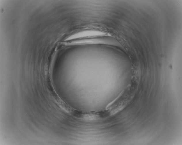 X0000081360708200701251949