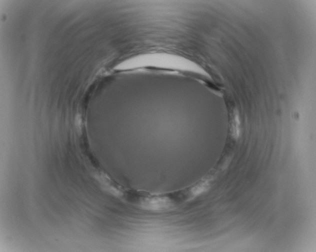 X0000081360716200701251949