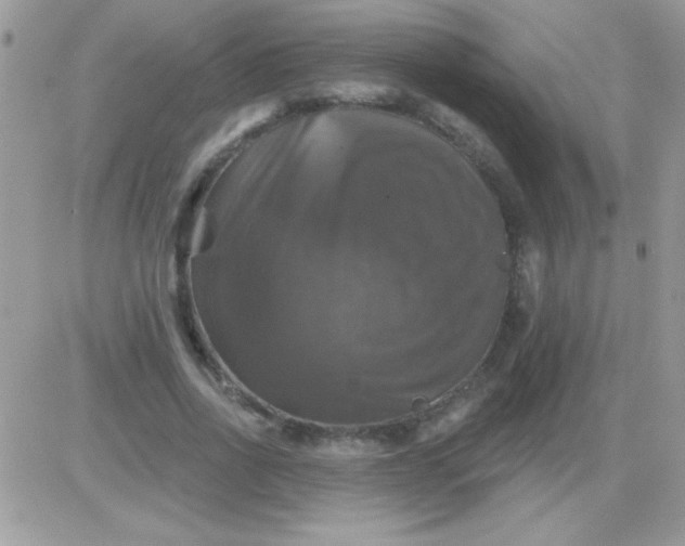 X0000081360734200701251948