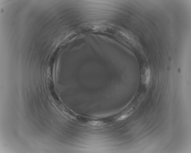 X0000081360748200701251948