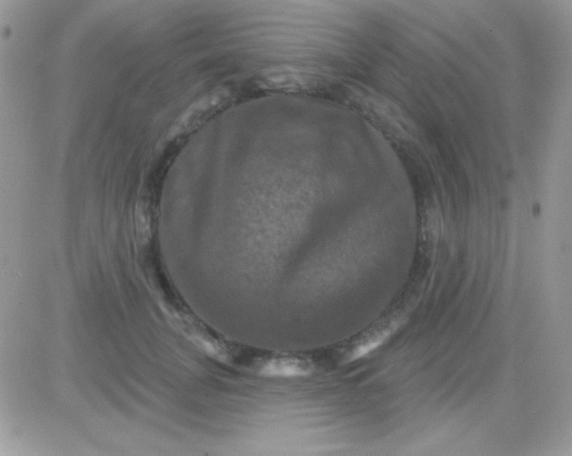 X0000081360751200701251948