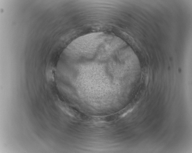 X0000081360770200701251948
