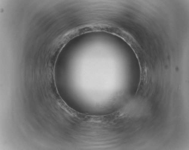X0000081360773200701251948
