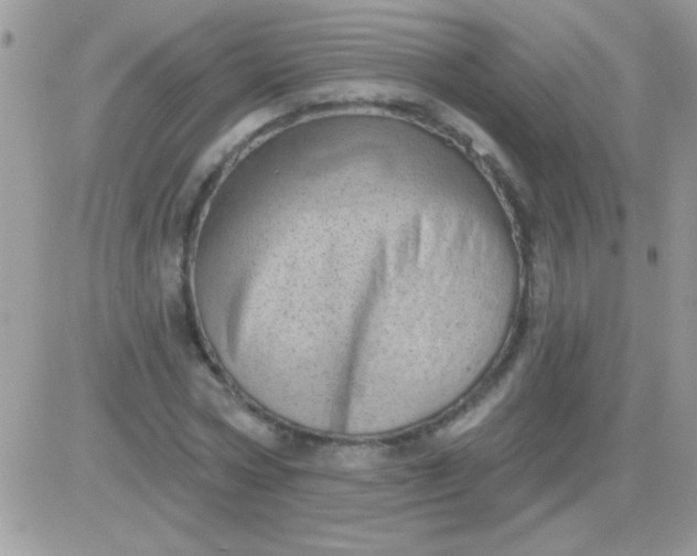 X0000081360778200701251948