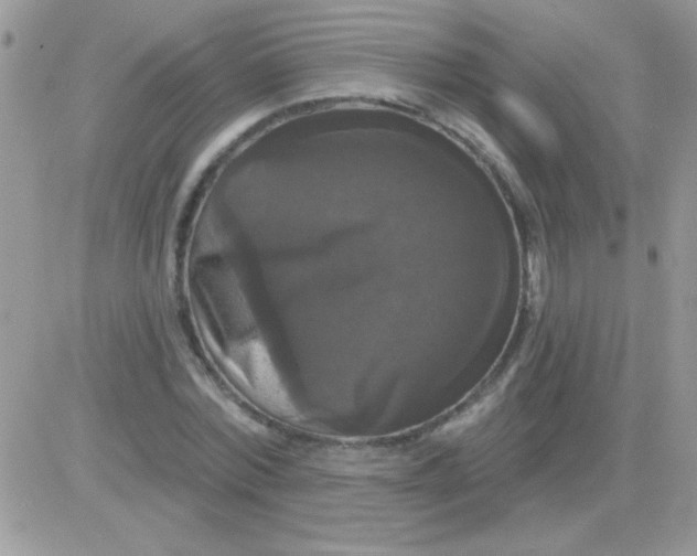 X0000081360780200701251948