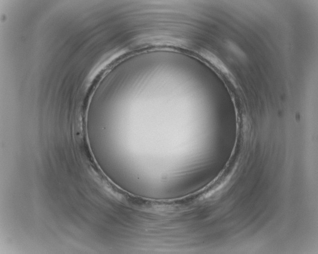 X0000081360782200701251948