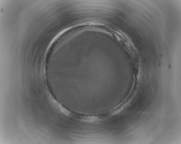 X0000081360784200701251948
