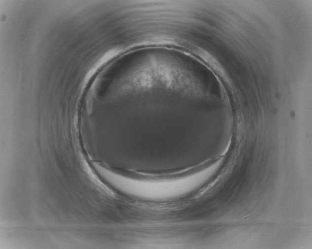 X0000081360797200701251948