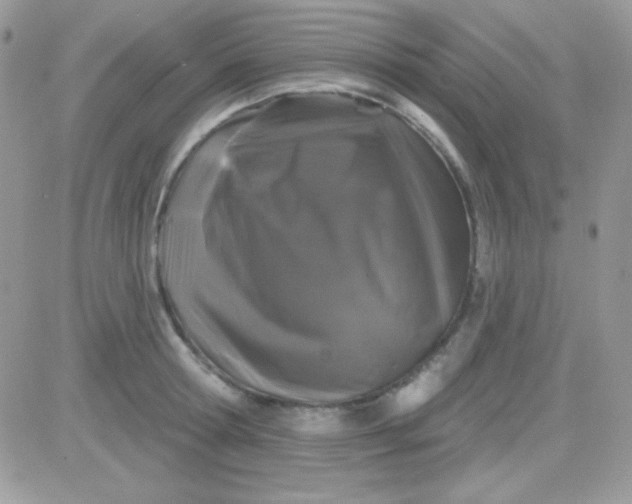X0000081360802200701251947