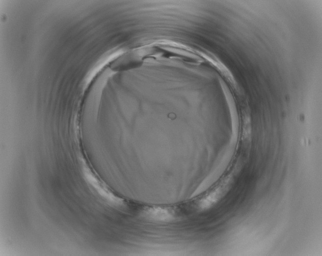X0000081360806200701251947