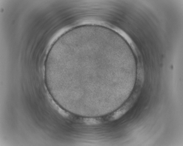 X0000081360807200701251947