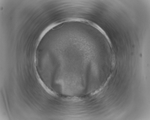 X0000081360811200701251947