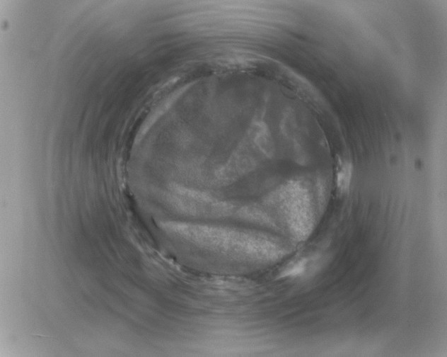 X0000081360819200701251946