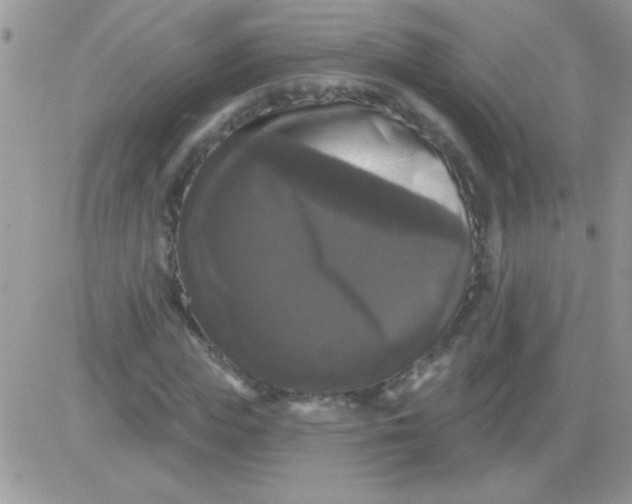X0000081360823200701251947