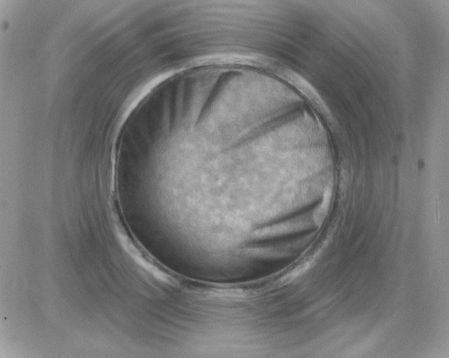X0000081360844200701251947