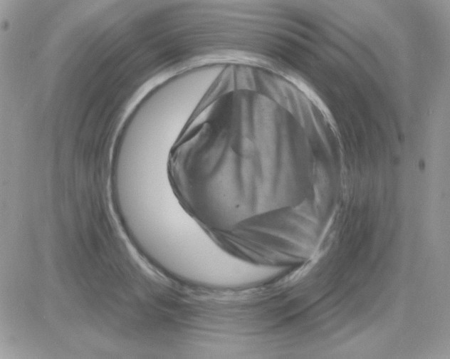 X0000081360845200701251947