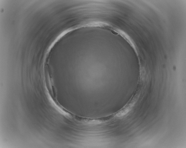 X0000081360851200701251947