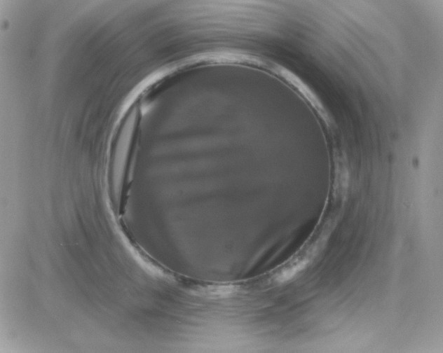 X0000081360853200701251947