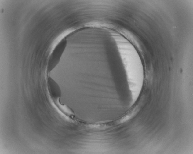 X0000081360855200701251947