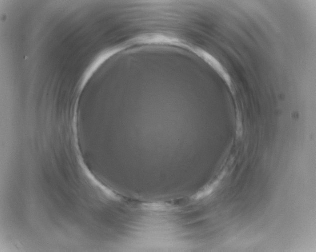 X0000081360863200701251947
