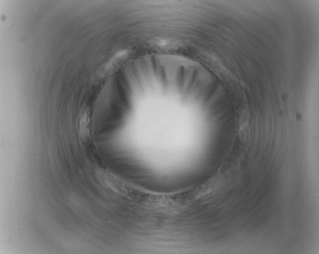 X0000081360866200701251946