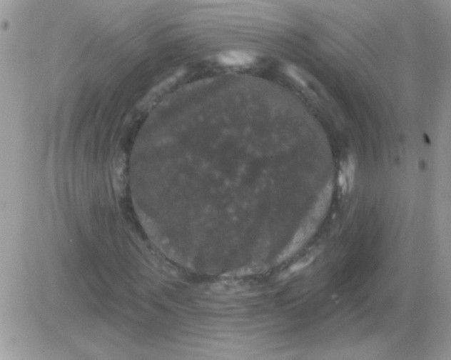 X0000081360867200701251946