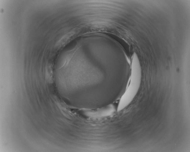 X0000081360868200701251946
