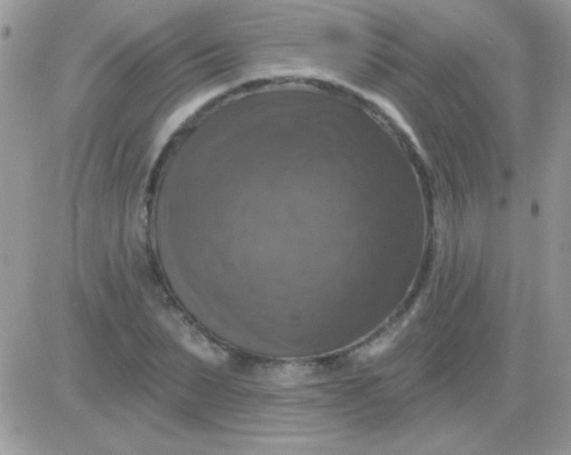X0000081360879200701251946