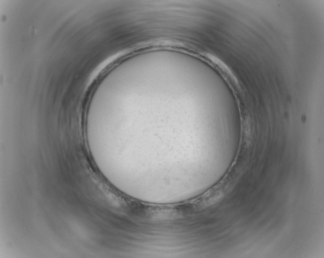 X0000081360886200701251946