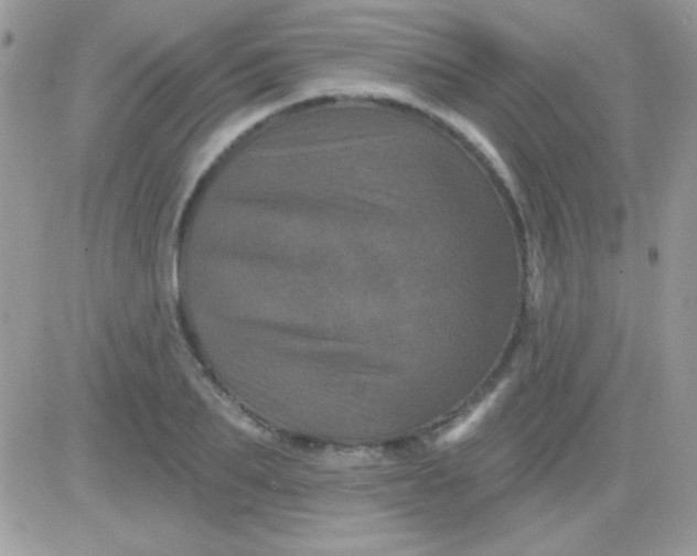X0000081360887200701251946