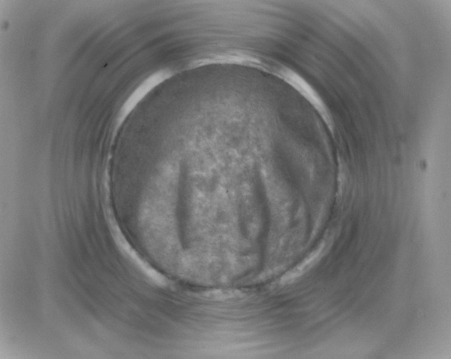 X0000081360906200701251946