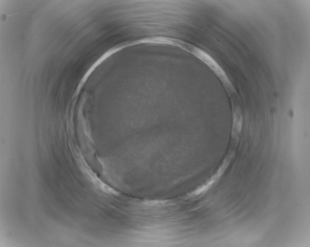 X0000081360908200701251946