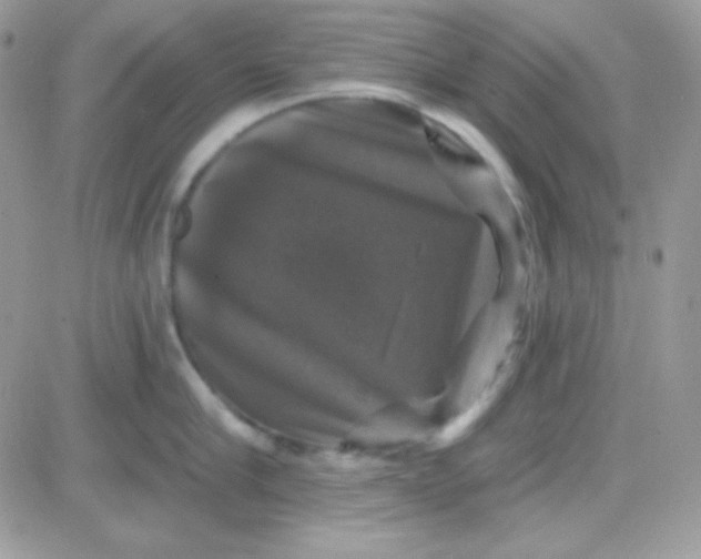 X0000081360910200701251946