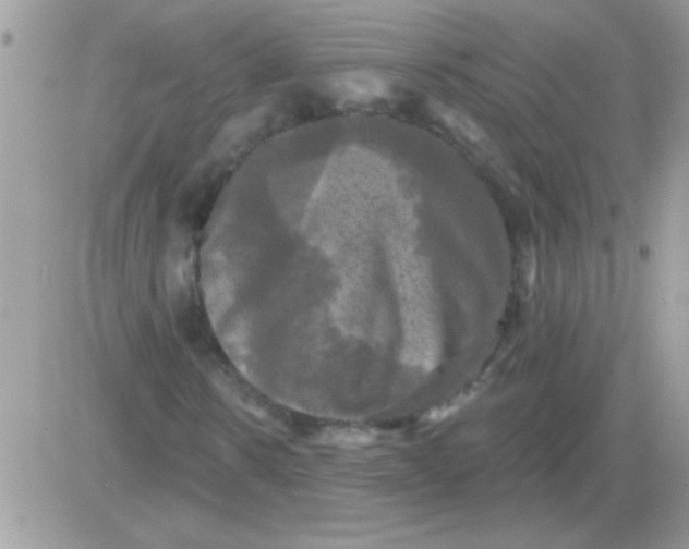 X0000081360914200701251945