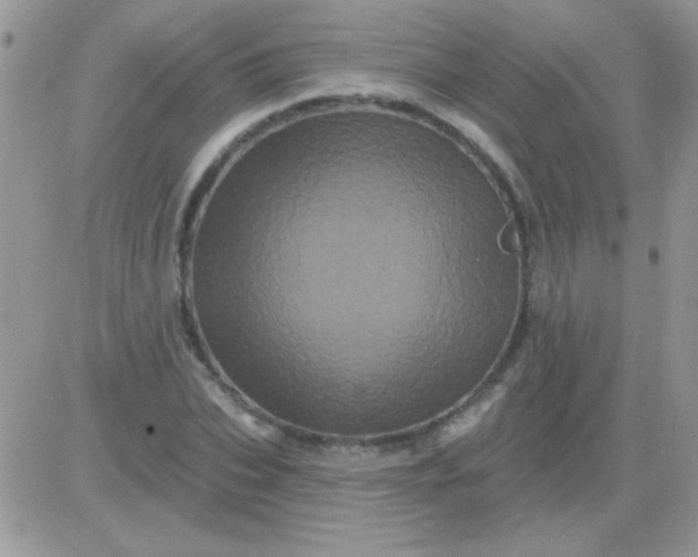 X0000081360927200701251945
