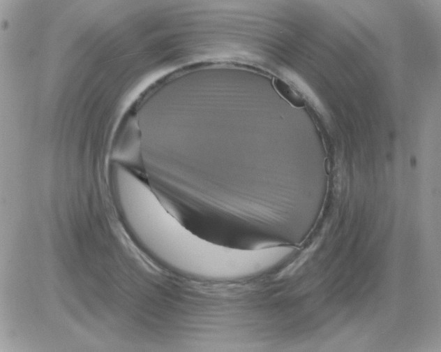 X0000081360932200701251945
