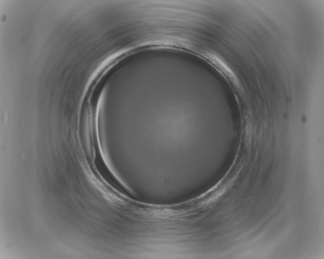 X0000081360940200701251945