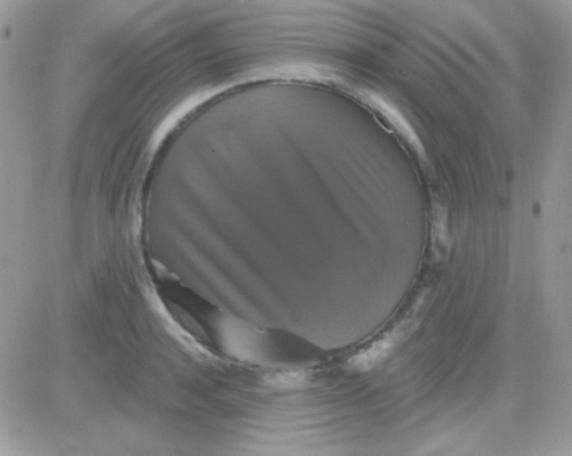 X0000081360944200701251945