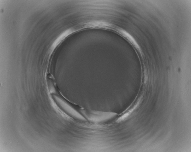 X0000081360946200701251945