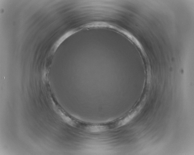 X0000081360953200701251946