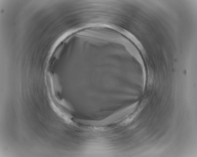 X0000081360958200701251946