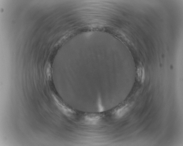 X0000081360963200701251945